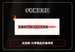 手机搬砖项目,无脑操作,新手一个月赚了5000+-云创宝盒